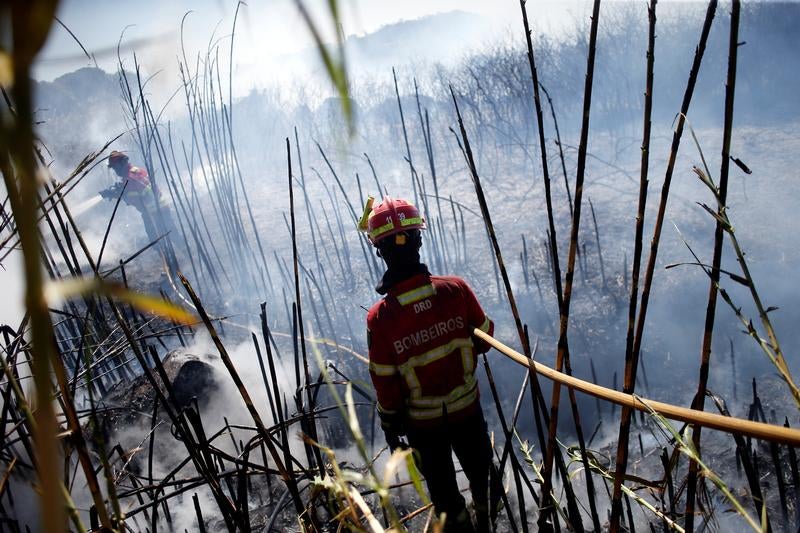 Resultado de imagem para IncÃªndios: Governo declara situaÃ§Ã£o de alerta entre quarta-feira e domingo
