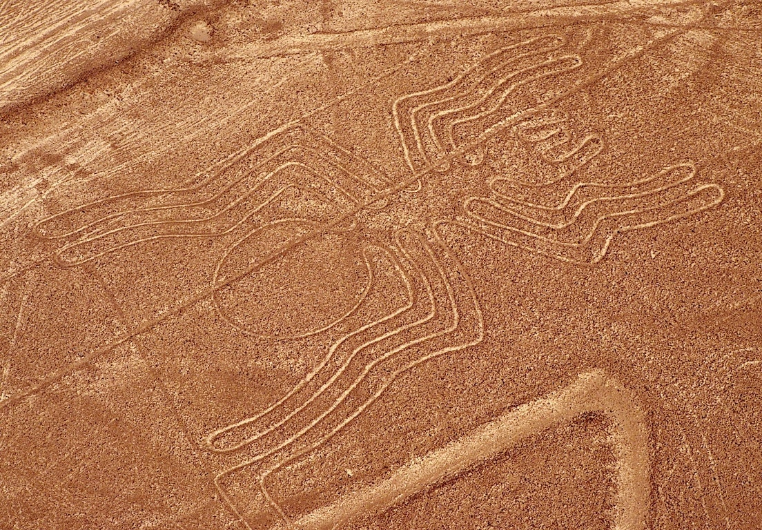  Aranha do deserto de Nazca | Reuters 