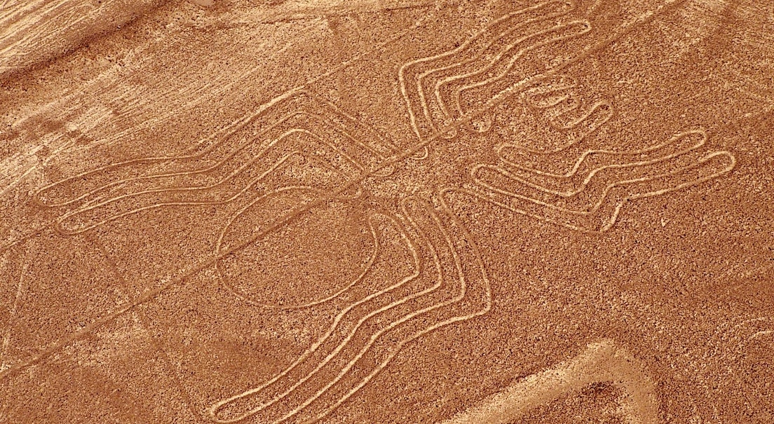  Aranha do deserto de Nazca | Reuters 