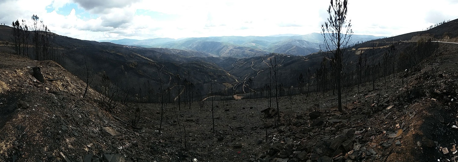  Foto: Nuno Tavares - RTP 