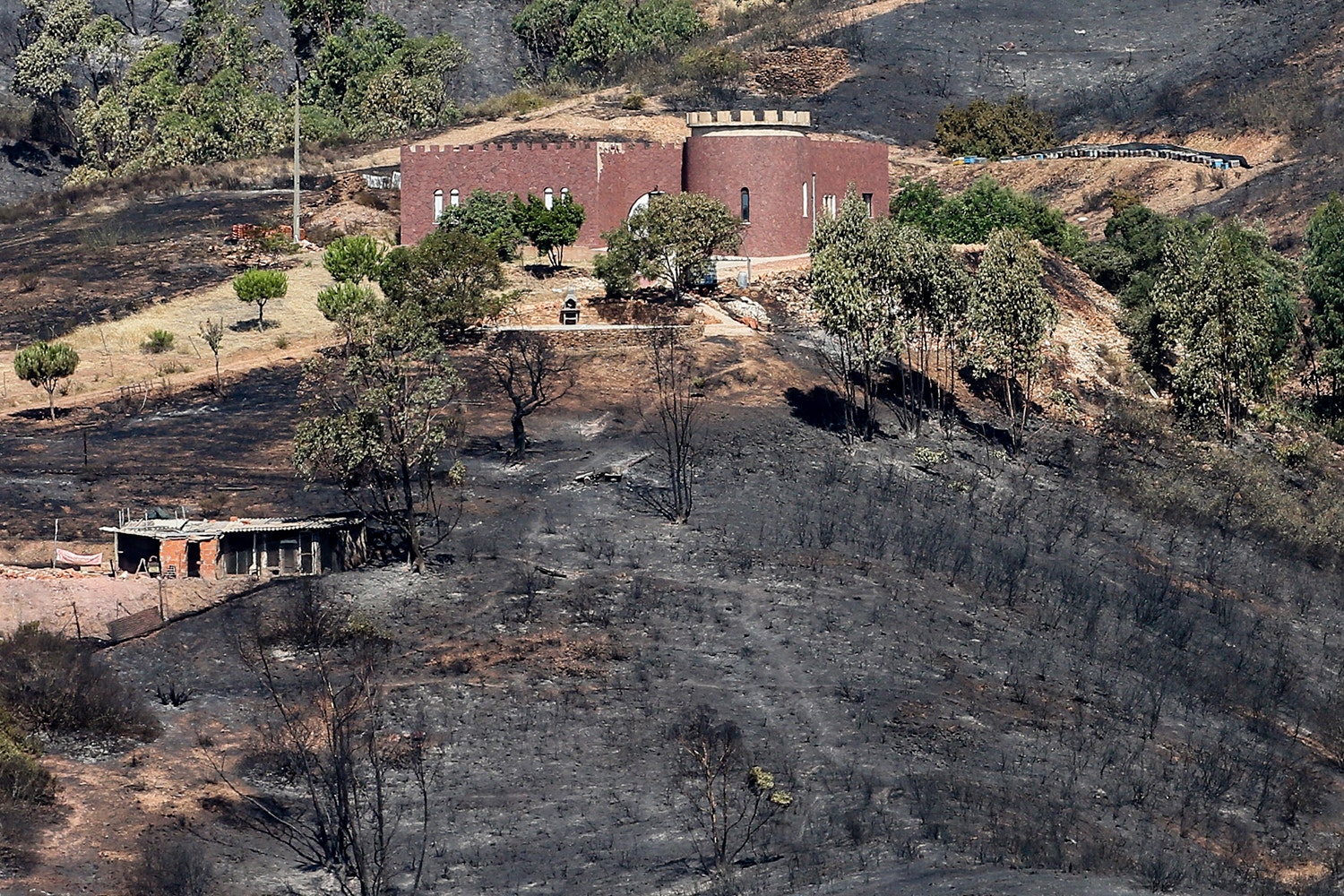  Silves /Lu&iacute;s Forra - Lusa 
