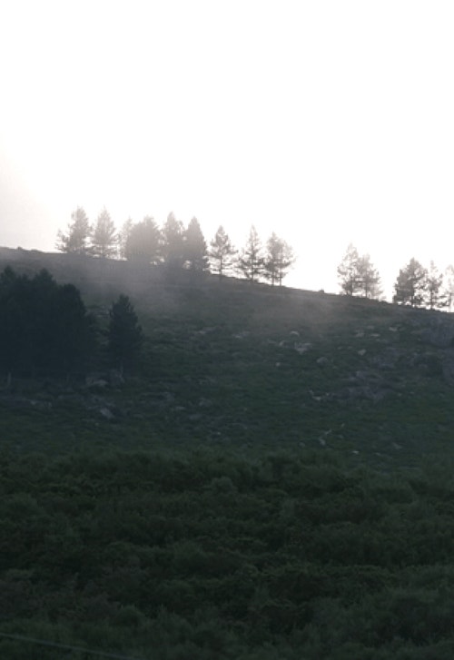 Imagem ilustrativa: As Contrabandistas