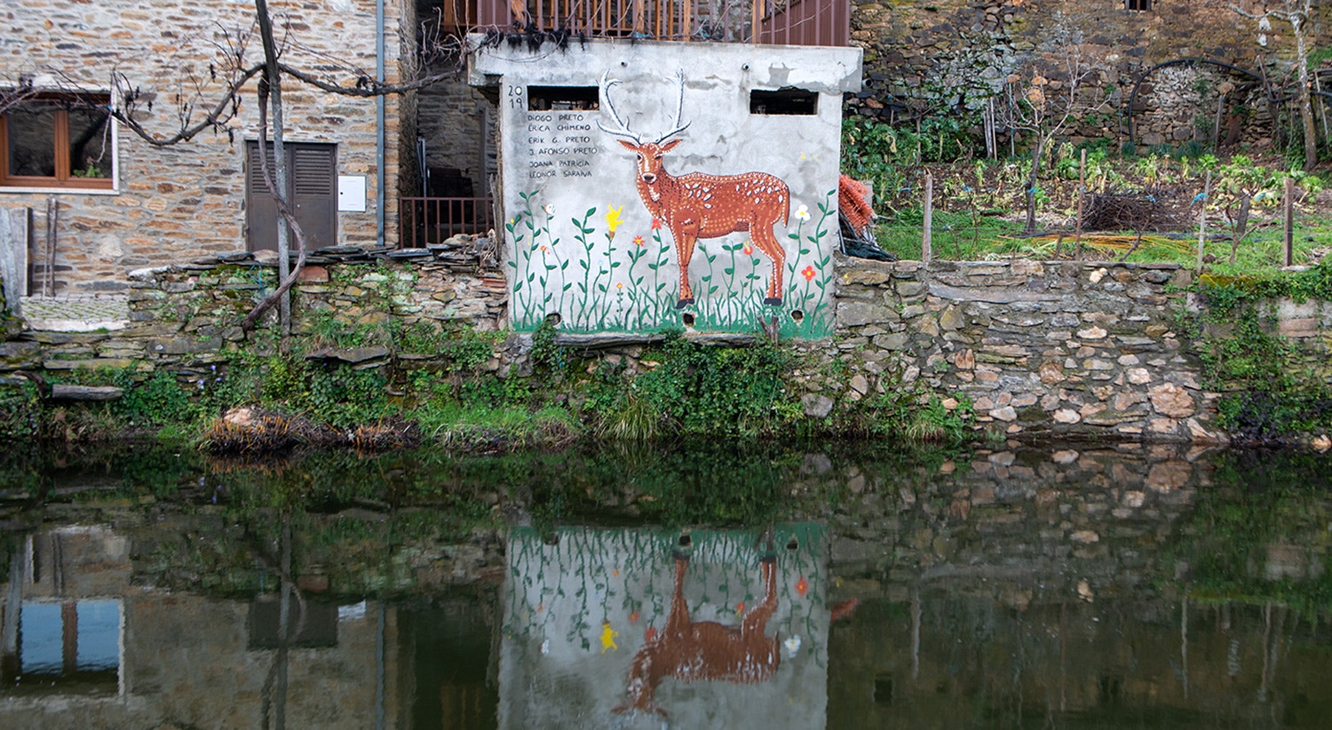  Foto: David Ara&uacute;jo - RTP 