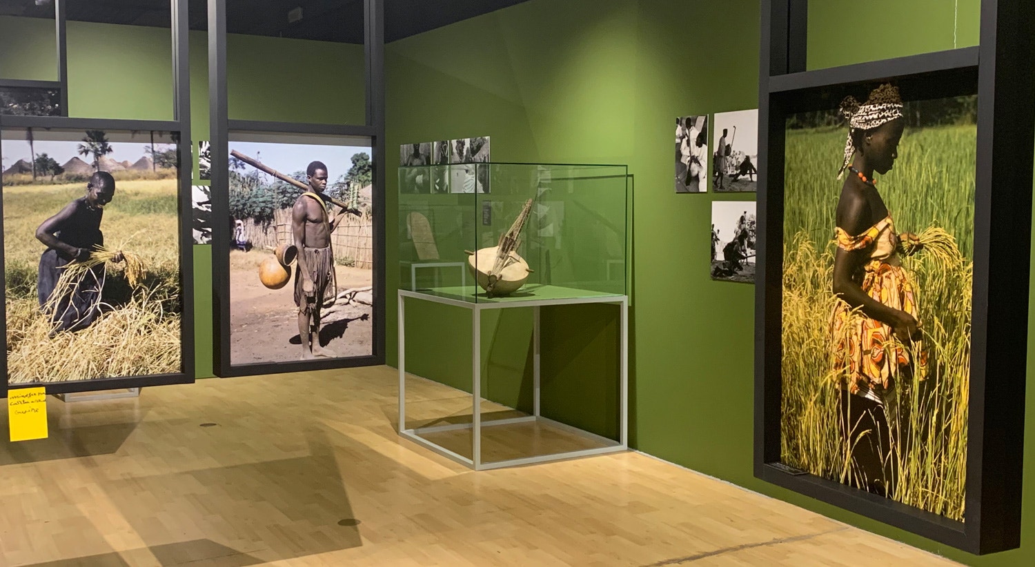  Moran&ccedil;as- habitats tradicionais da Guin&eacute; Bissau&rdquo; Cr&eacute;ditos: MUHNAC-ULisboa 