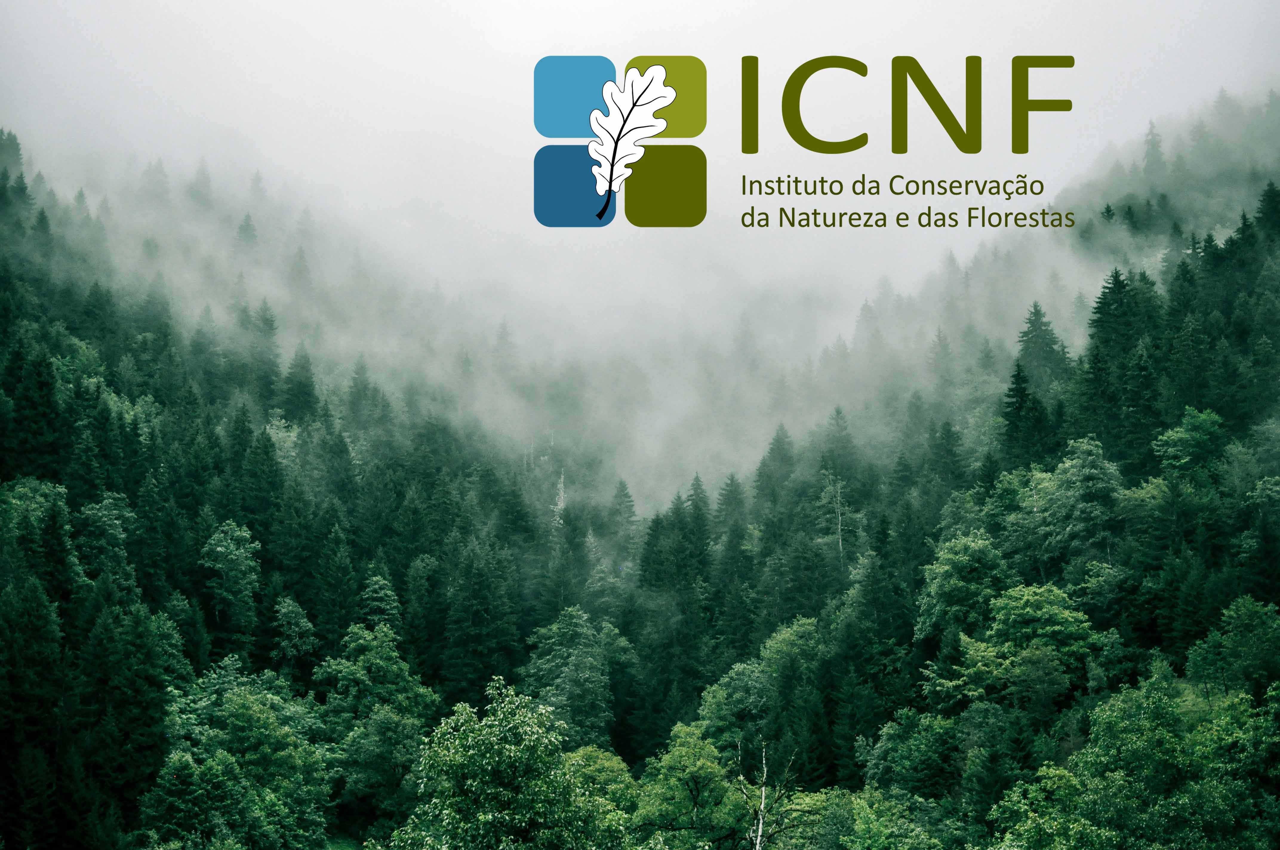 Ministério Público e PJ realizaram buscas nas instalações do ICNF