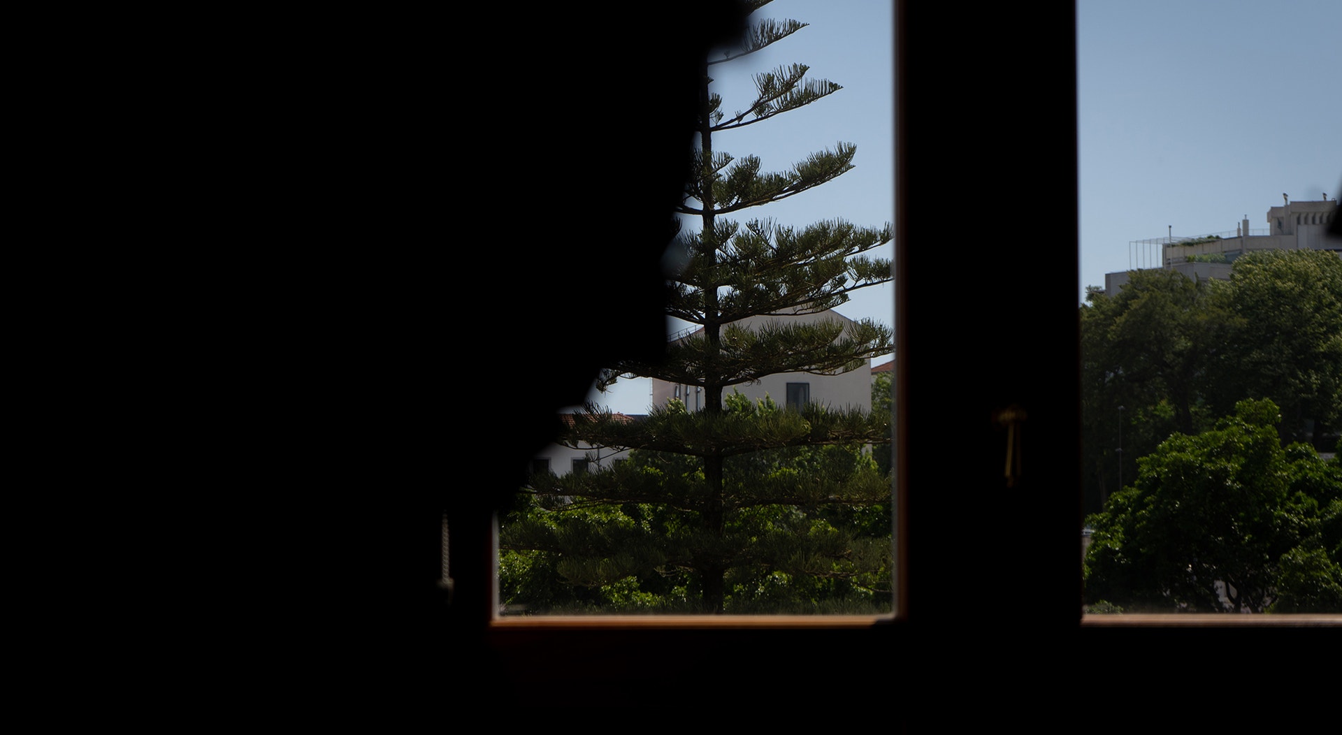  Foto: Rodrigo Lobo - RTP 