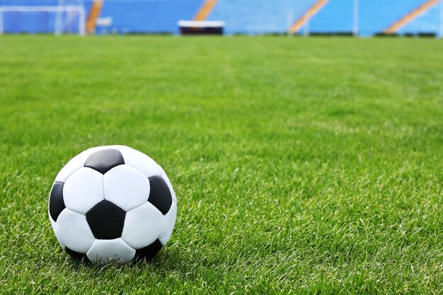 Imagem de Benfica abre com Atlético quarta eliminatória da Taça de Portugal