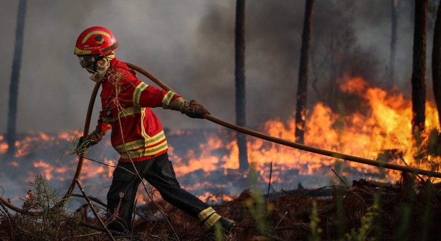 O fogo em Mogadouro já está dominado pelos bombeiros
