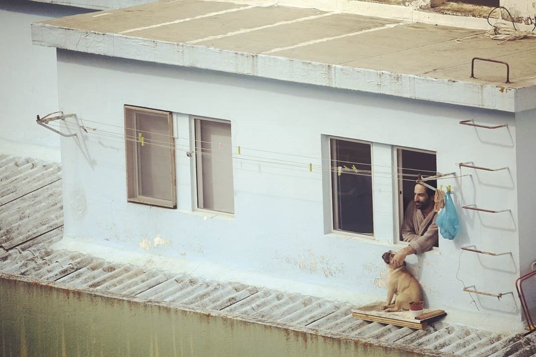  Cr&eacute;ditos fotogr&aacute;ficos: Carlos Santos/DR 