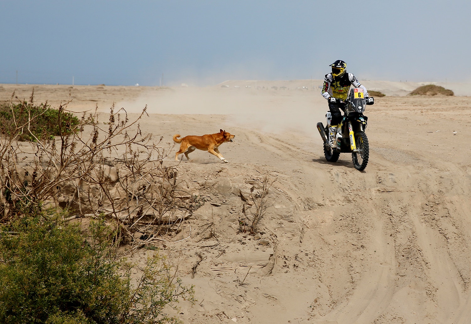  Carlos Jasso - Reuters 