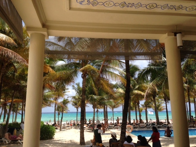  Enviada por Maria do Carmo Tom&aacute;s 