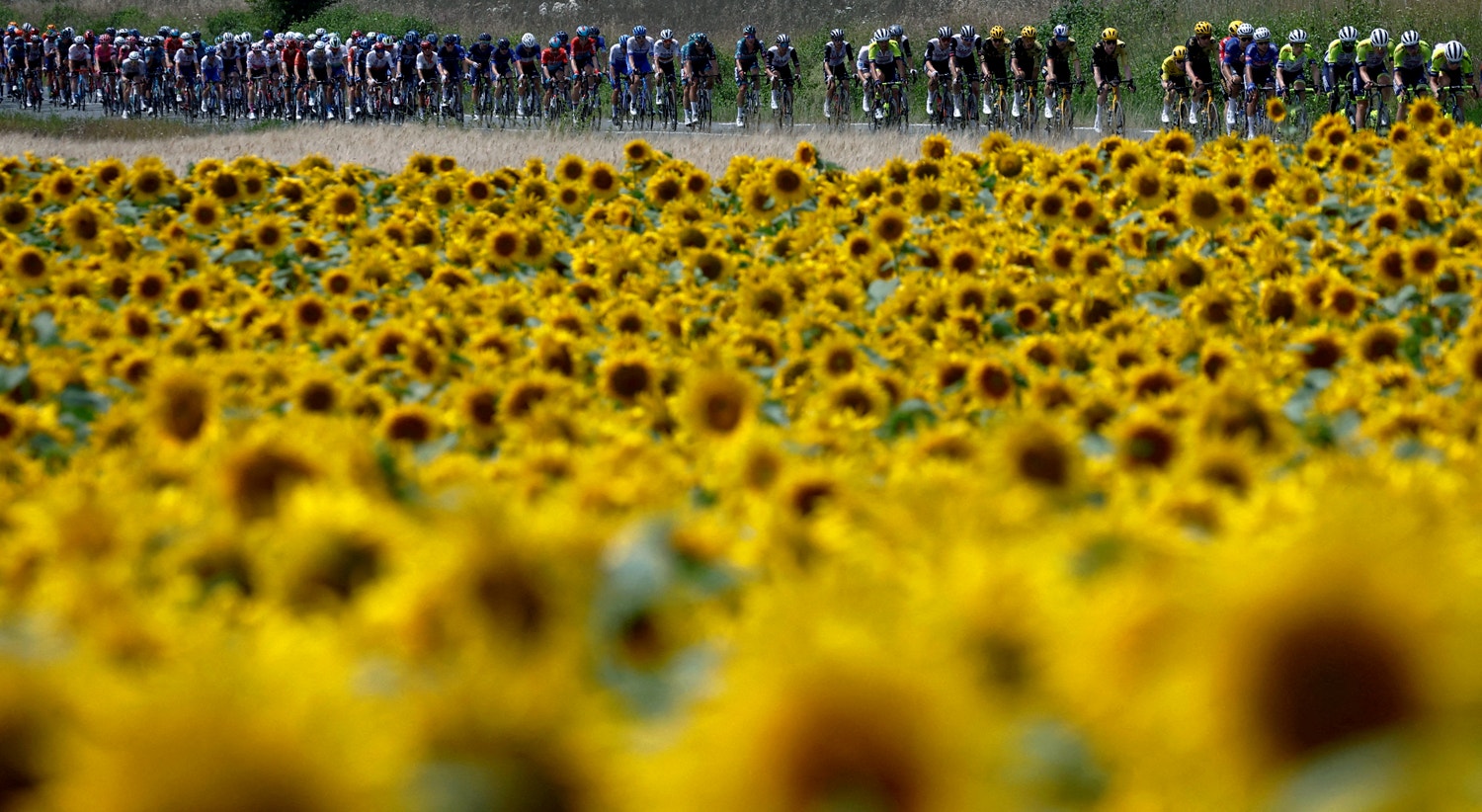  Ciclismo - Tour de France, Libourne a Limoges - Fran&ccedil;a - 8 de julho. Vista geral do pelot&atilde;o durante a etapa 8 | Stephane Mahe - Reuters 
