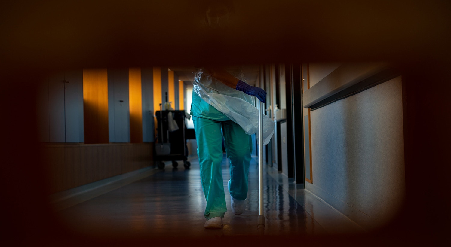  Foto de David Ara&uacute;jo 