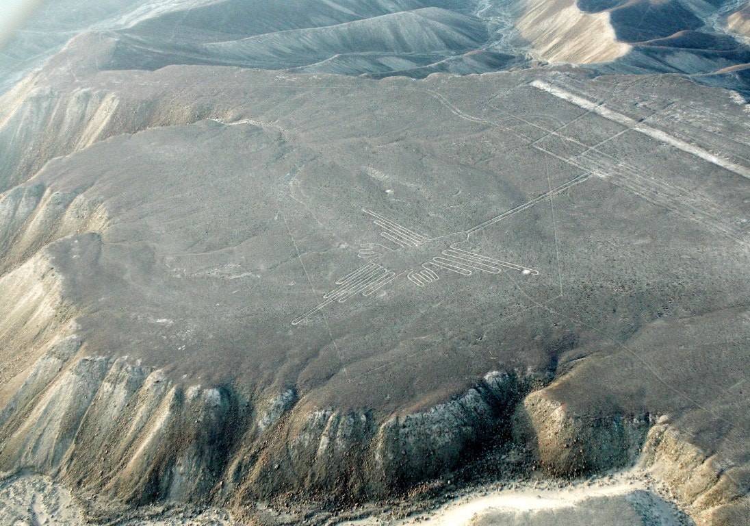  Beija-flor no deserto de Nazca | Mariana Bazo - Reuters 