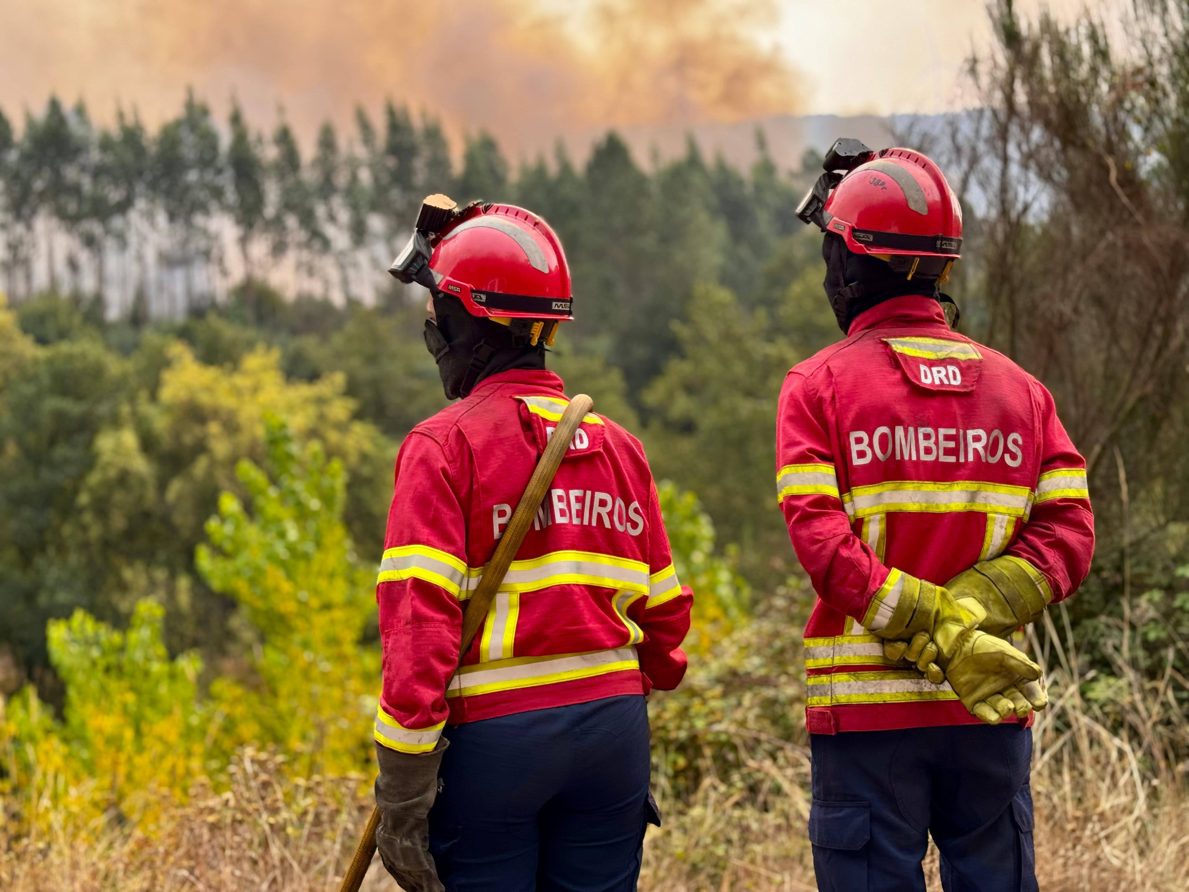 Major wildfire in Loulé forces closure of EN2