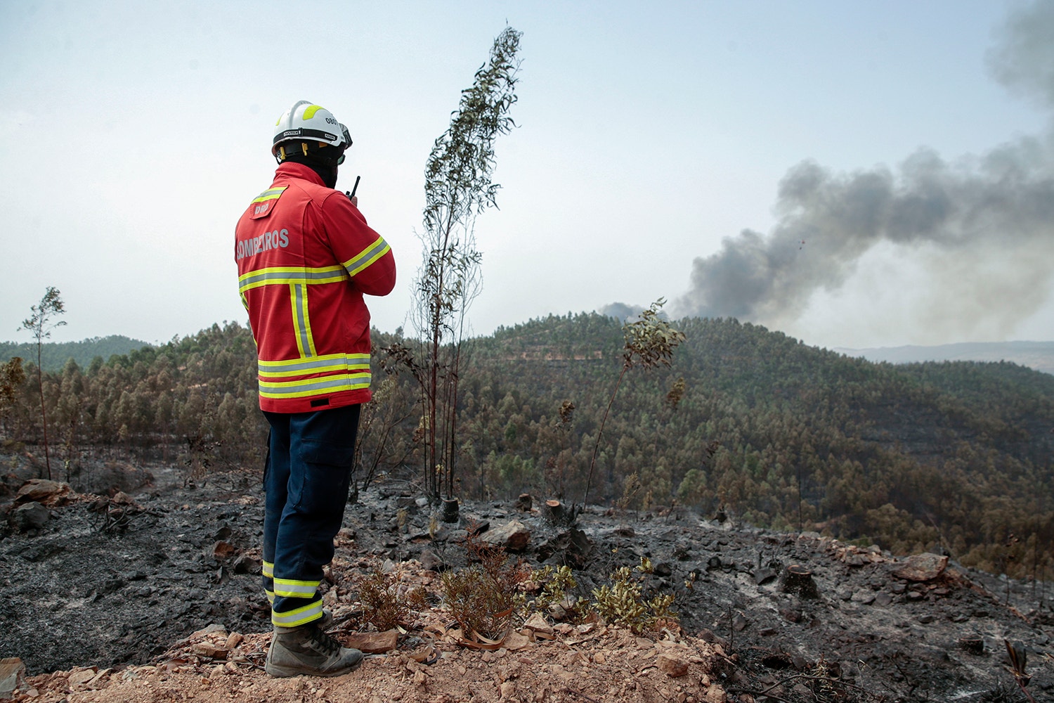  Filipe Farinha - Lusa 