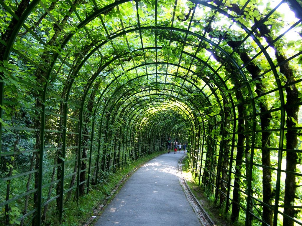  Enviada por  Ana Moura Batista - Castelo de Neuschwanstein 