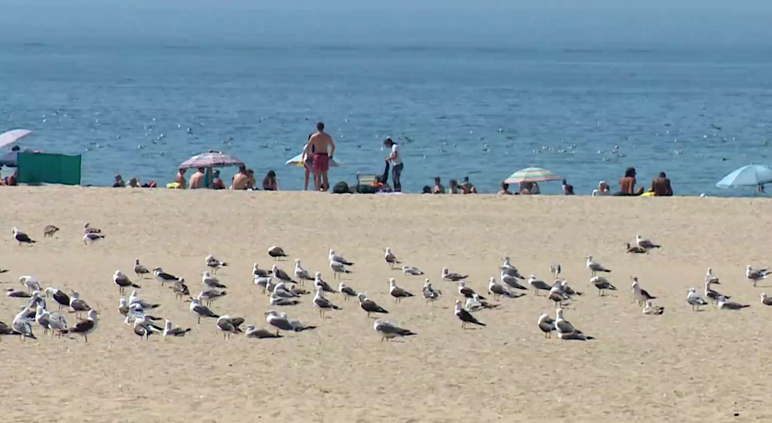 "Unfavourable opinion" from Matosinhos City Council on the new Northern Container Terminal project