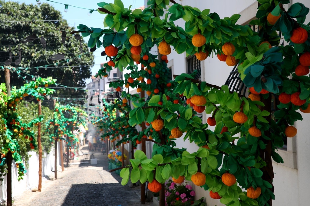  Nuno Patr&iacute;cio - RTP 