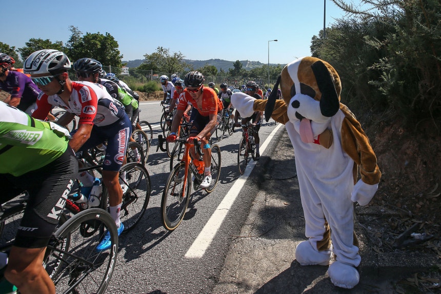 A Volta está na estrada a partir de hoje
