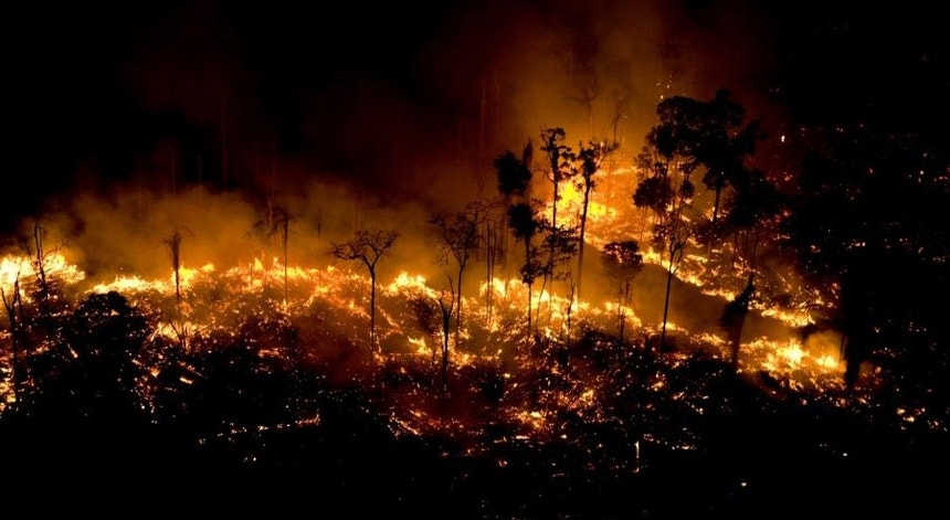 O fogo está a destruir a Amazónia, uma das jóias do planeta
