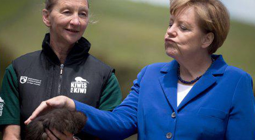 Angela Merkel no momento em que afaga um pequeno animal. A imagem está a servir de mote a diversas fotomontagens pouco elogiosas para a Chanceler alemã. 
