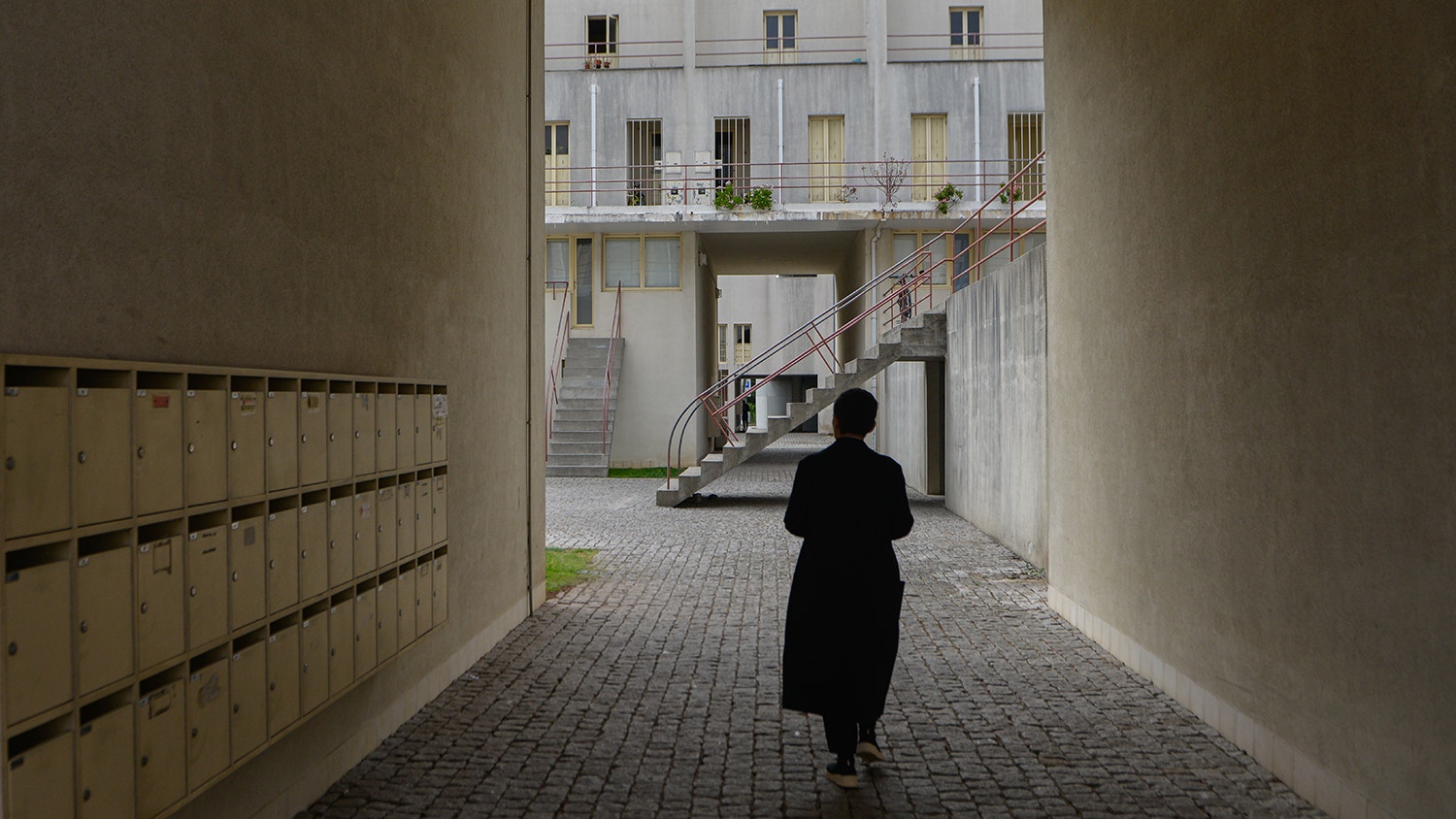  Foto: David Ara&uacute;jo - RTP 