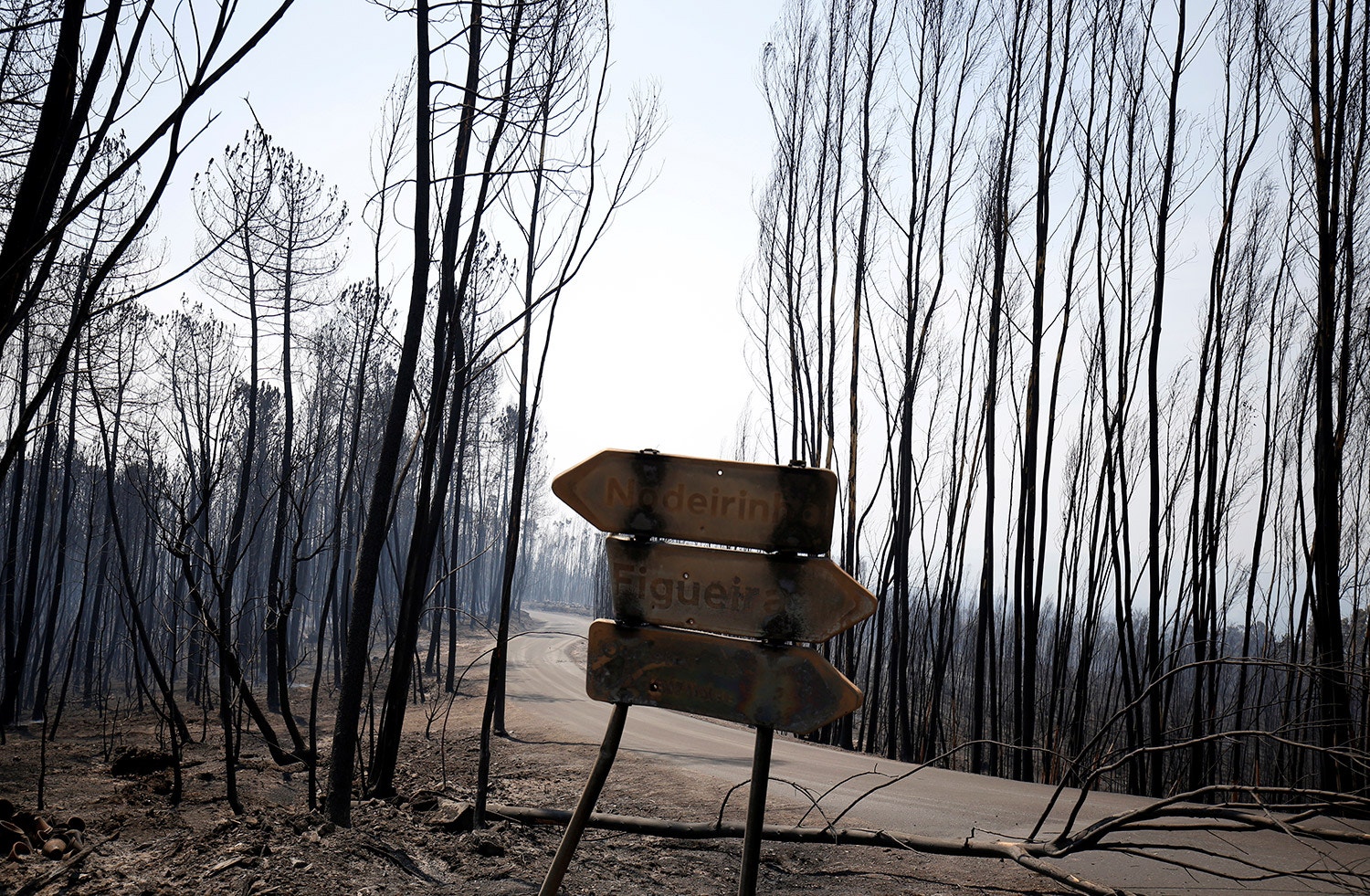  Foto: Rafael Marchante - Reuters 