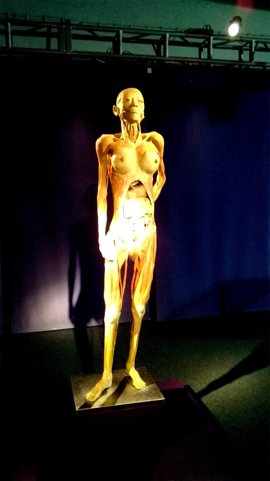  Cr&eacute;ditos: Alexandra Sofia Costa  - Antena 1 - RTP  