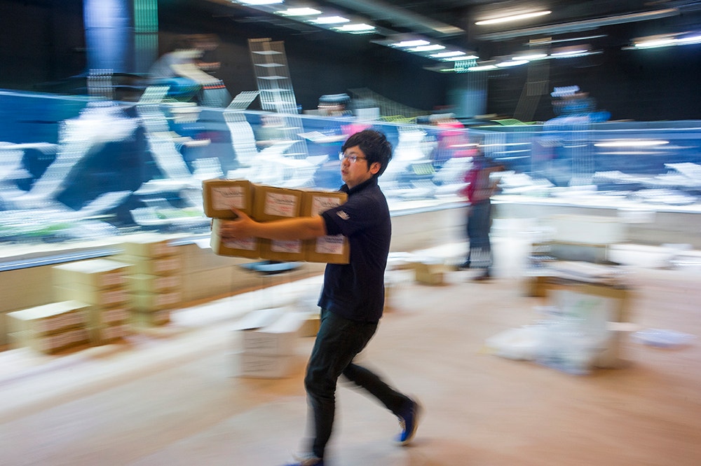  Pedro A. Pina / Ocean&aacute;rio  