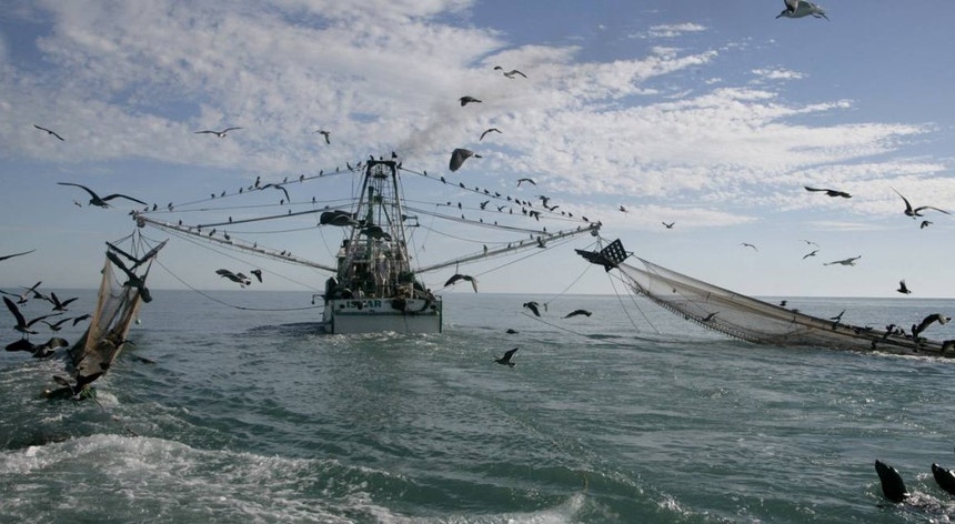 A utilização da pesca de arrasto explora de forma frutífera os recursos marinhos, dizem os especialistas.
