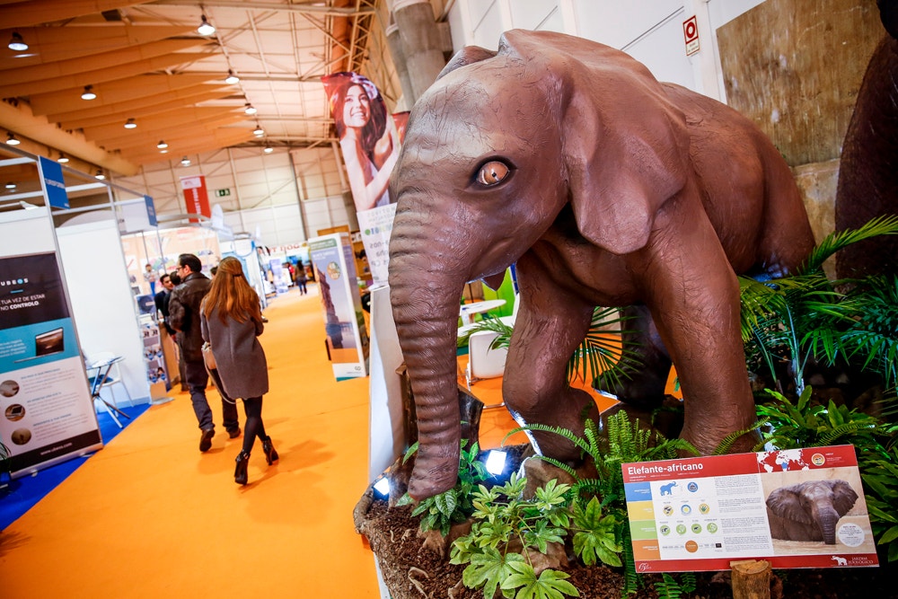  Foto: Pedro A. Pina / RTP Online 