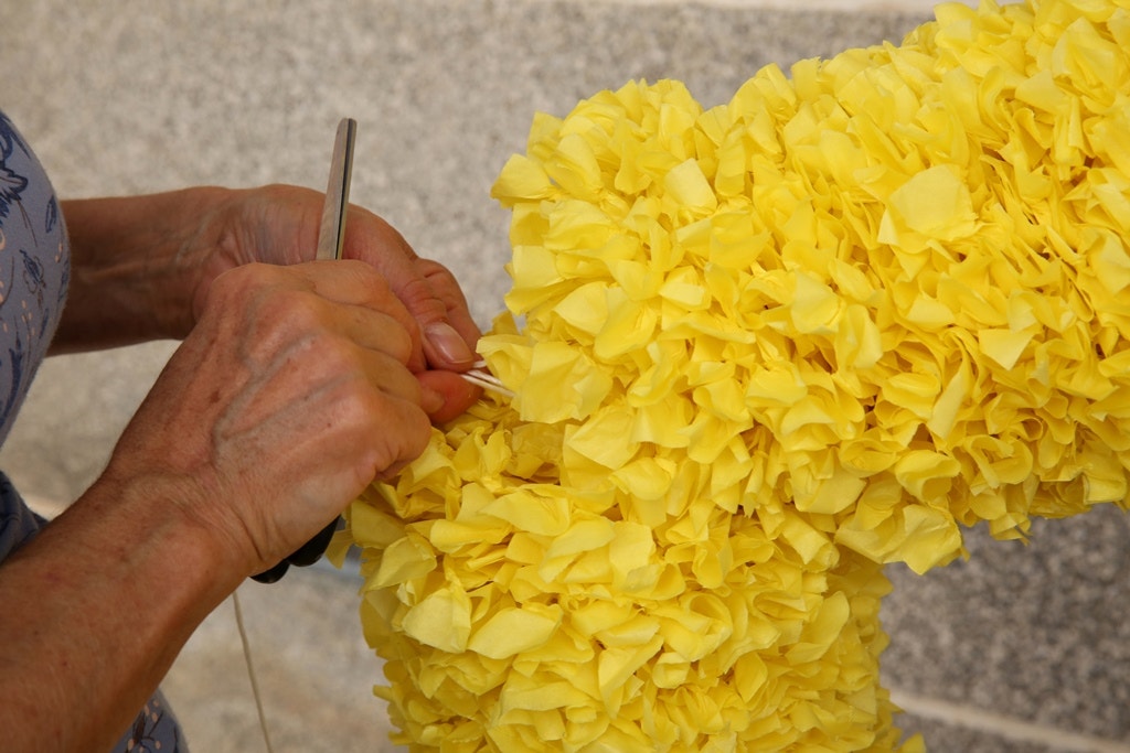  Nuno Patr&iacute;cio - RTP 