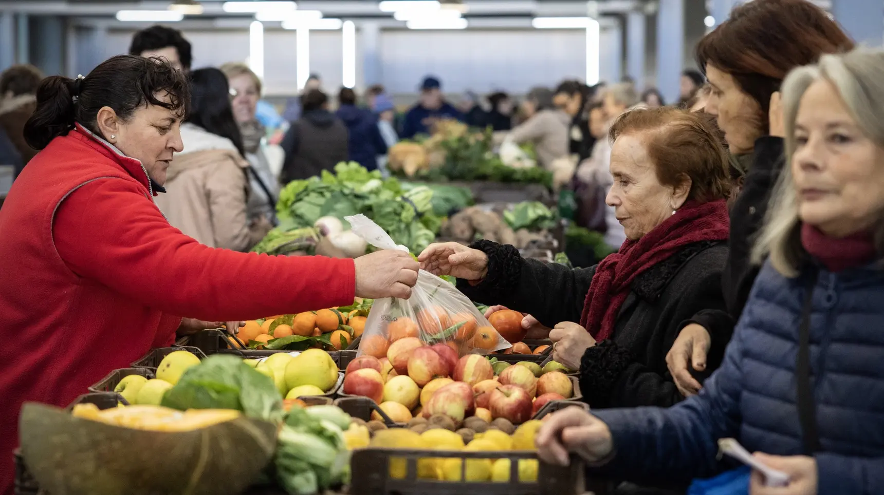 Cabaz alimentar sobe para novo máximo de 254,99 euros