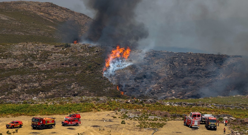 Imagem de Quatro bombeiros feridos em despiste de carro de combate em Arouca