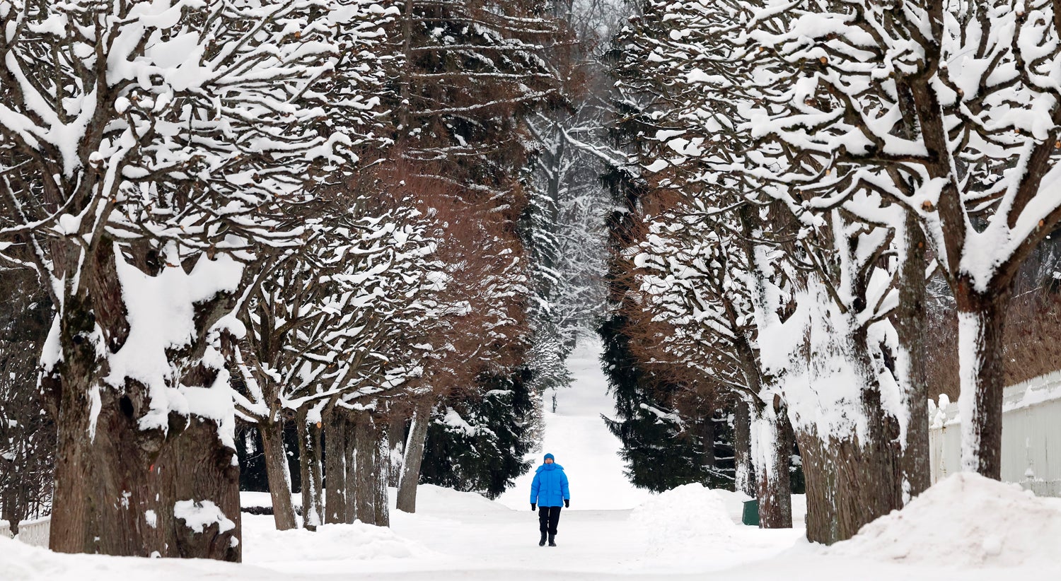 Russos debaixo de neve