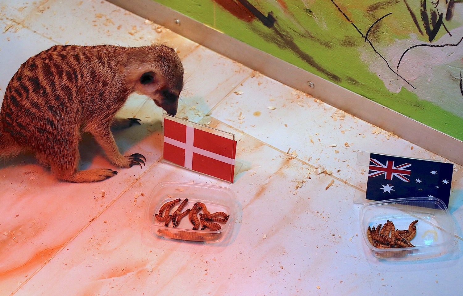  Foto: David Gray - Reuters 