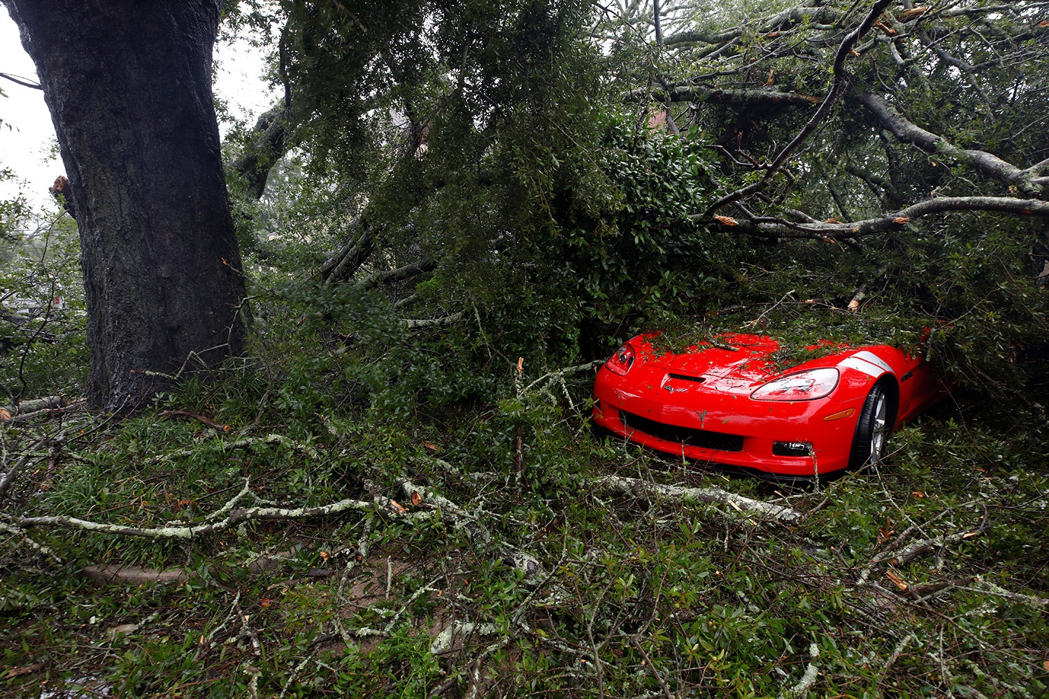  Jonathan Drake - Reuters 