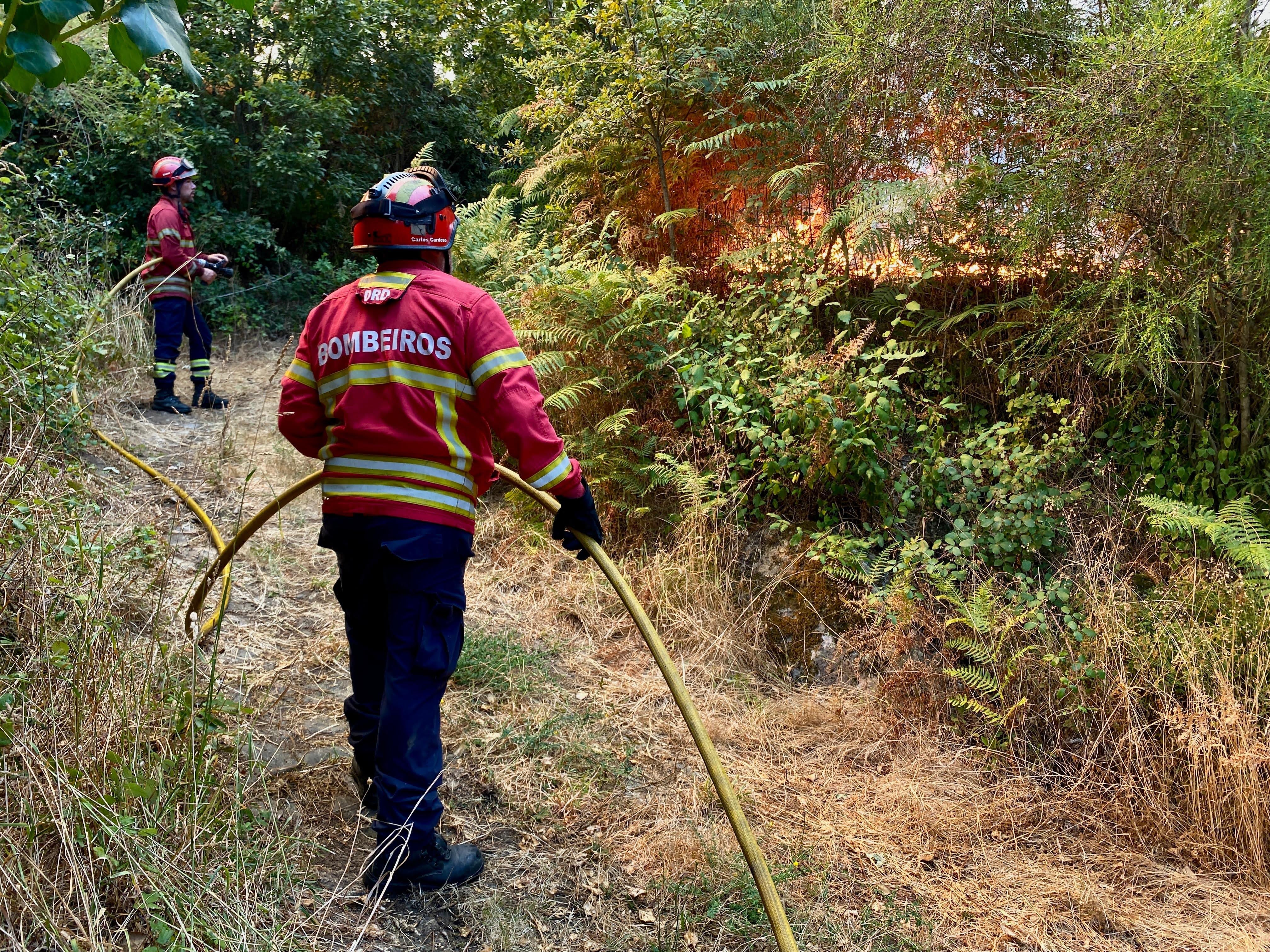 Quatro bombeiros de Vinhais que sofreram queimaduras tiveram alta