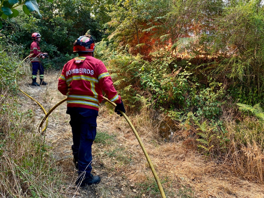 Imagem de Quatro bombeiros de Vinhais que sofreram queimaduras tiveram alta