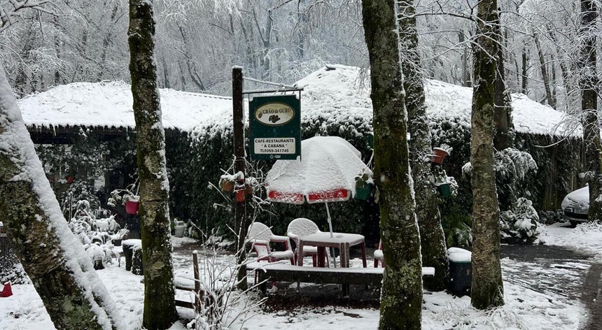 Imagem de Nevão no primeiro dia de inverno pintou de branco várias localidades do país