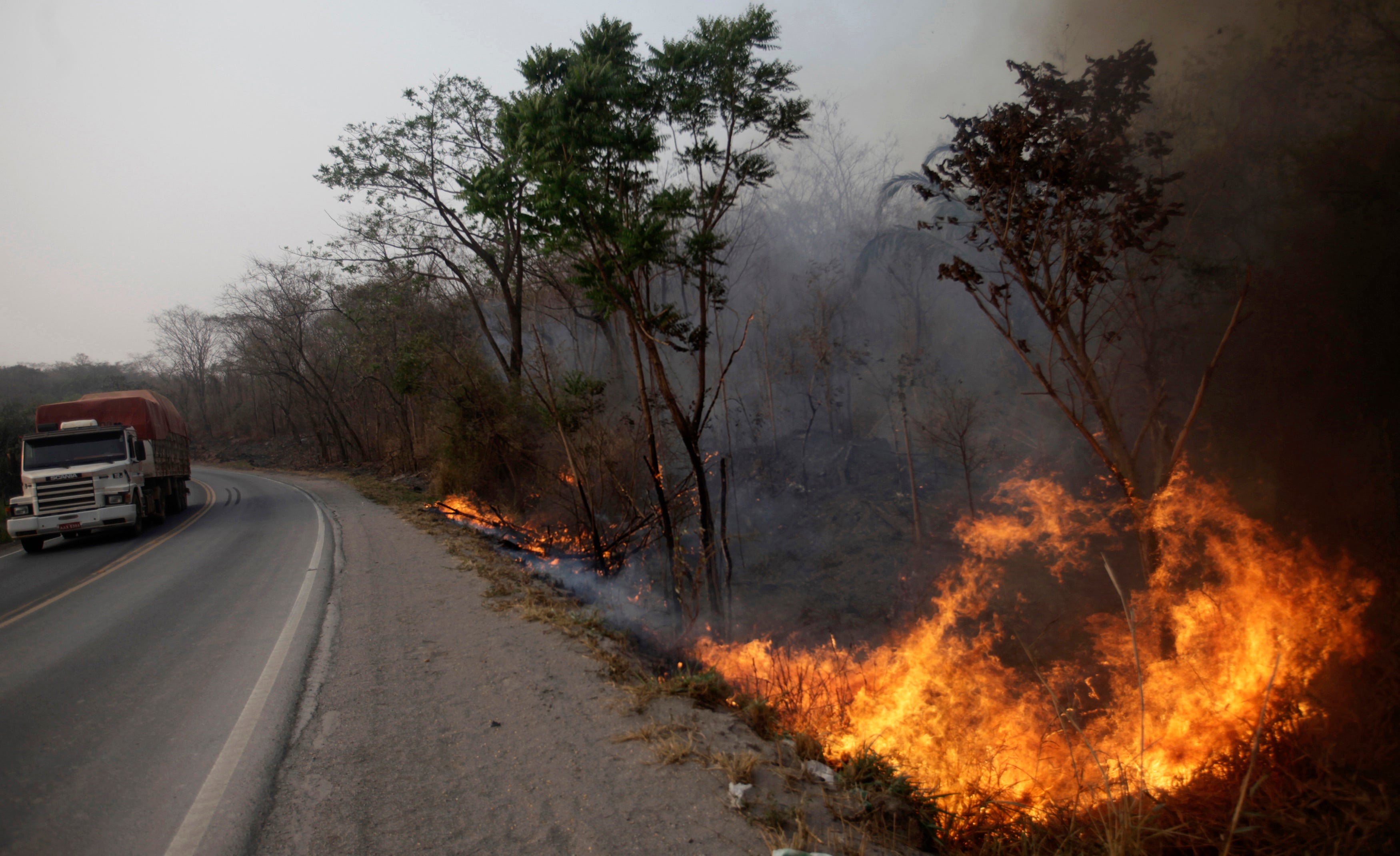 Alterações climáticas. Tempo no Brasil vai mudar do calor tórrido para ...