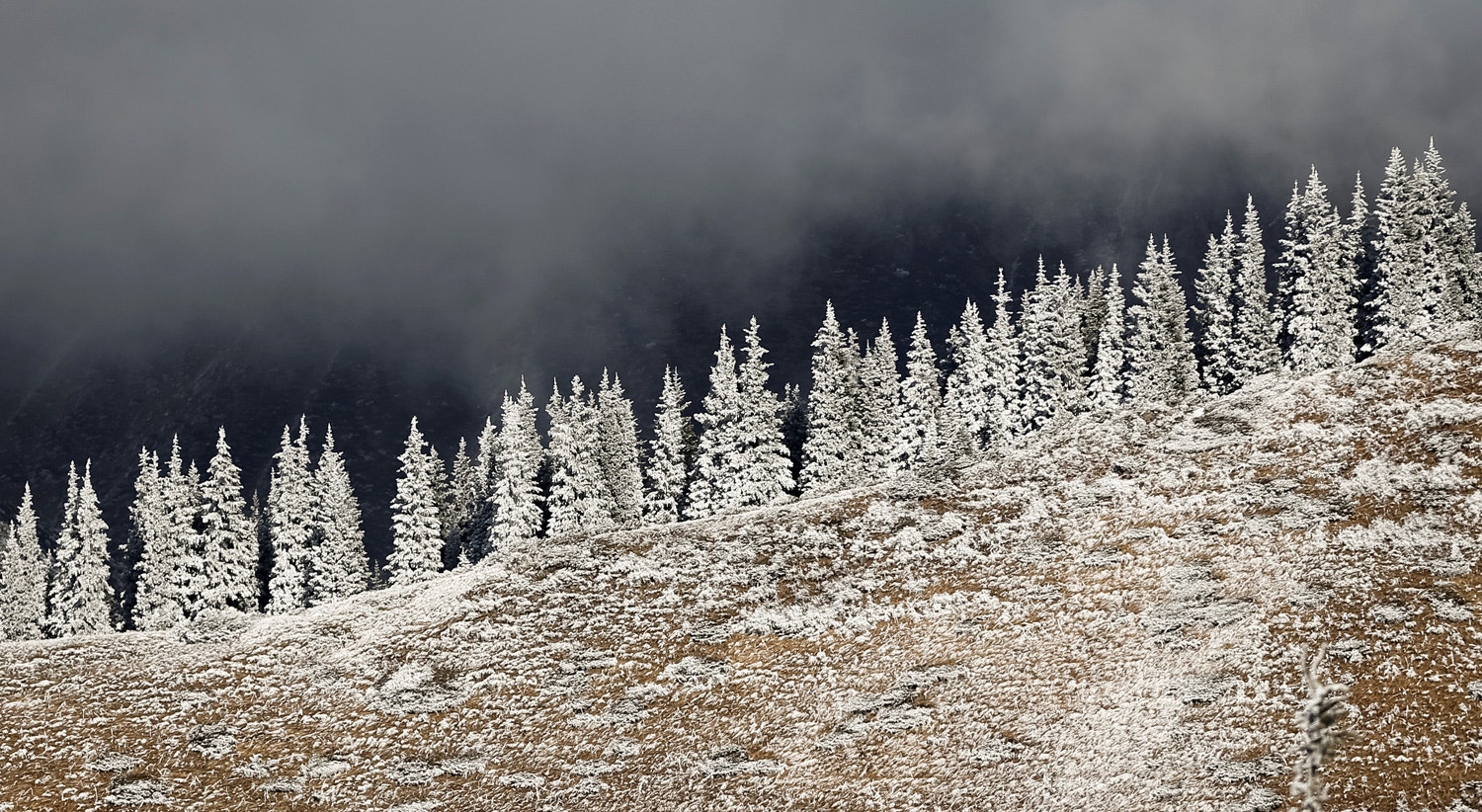  Cazaquist&atilde;o, 6 de novembro de 2019 /Pavel Mikheyev - Reuters 