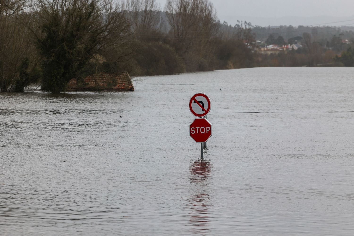 "Cheia centenária". Água pode inundar baixa de Coimbra
