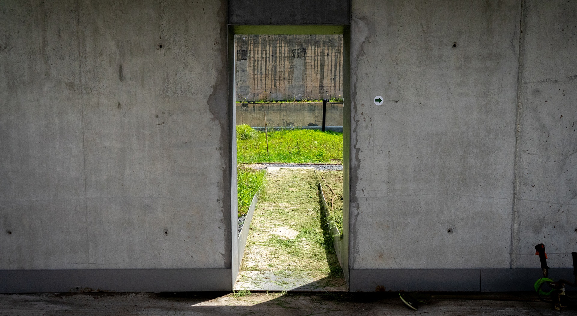  Foto: Rodrigo Lobo - RTP 