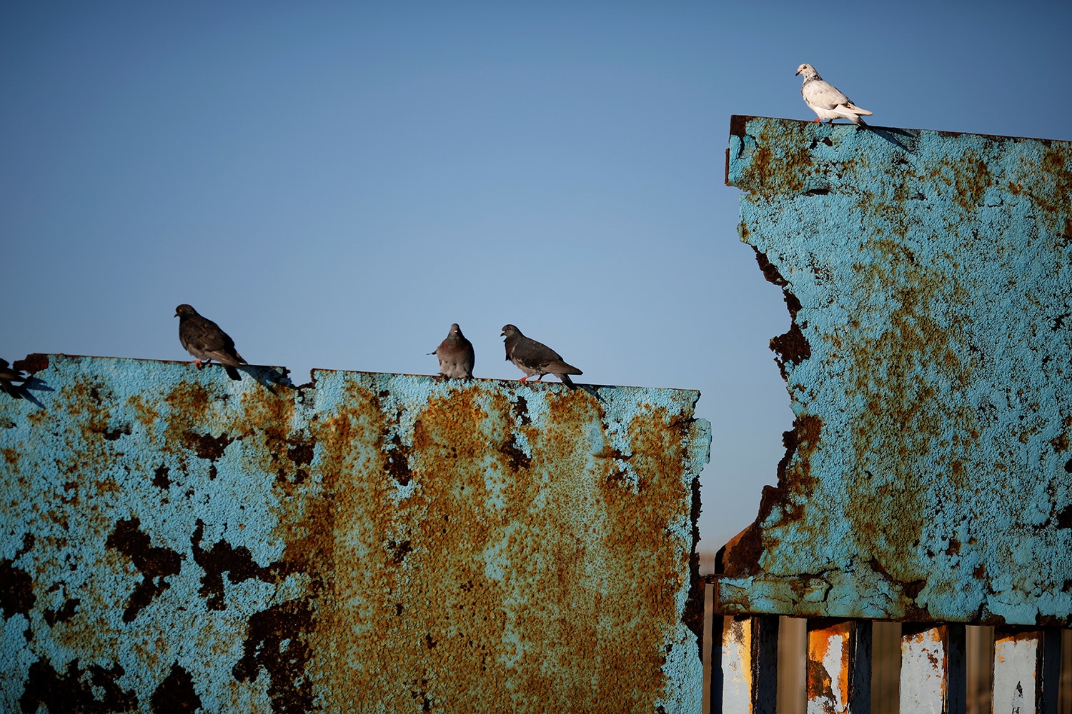  Carlos Barria - Reuters 