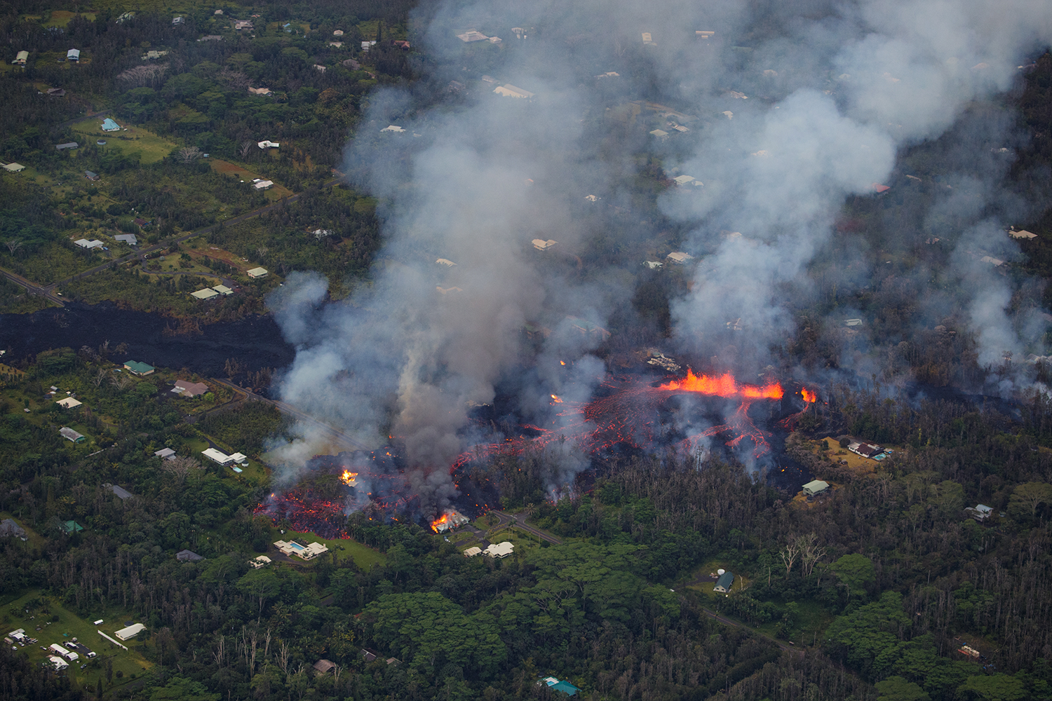  Foto: Bruce Omori - EPA 