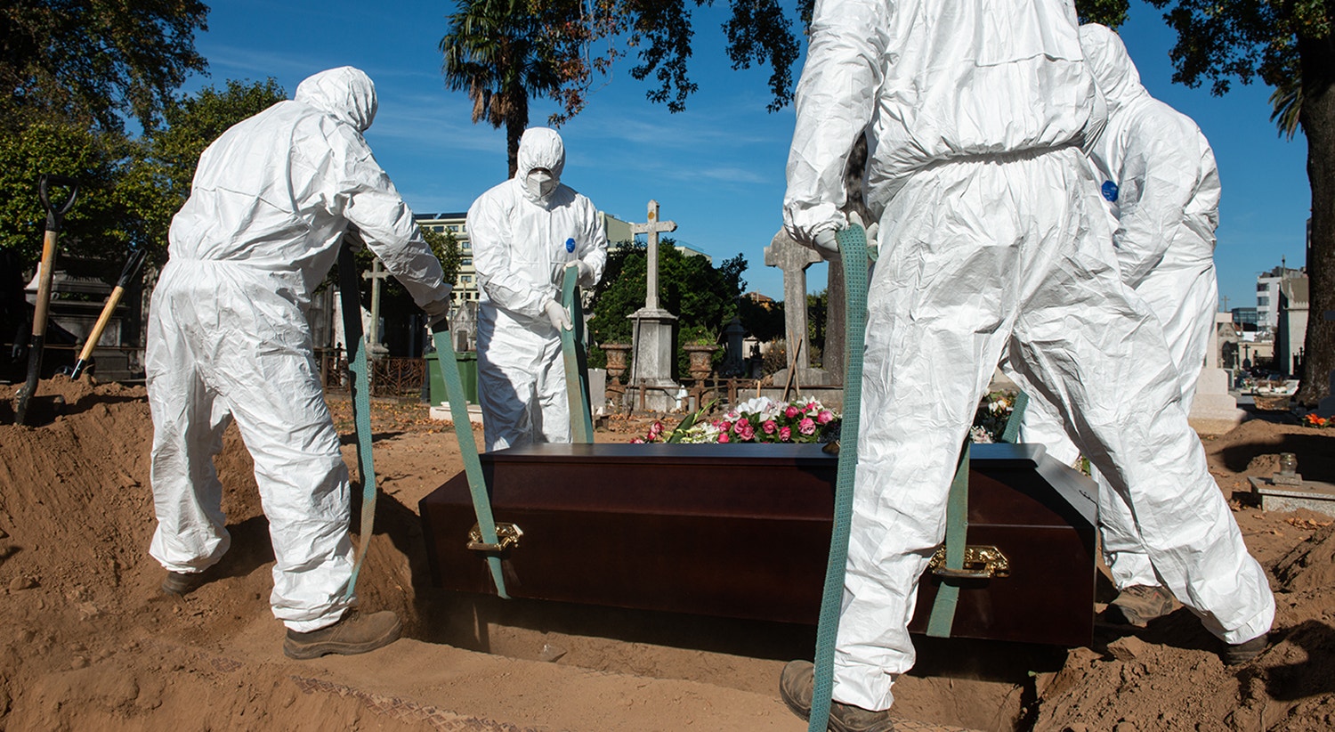  Foto: David Ara&uacute;jo - RTP  