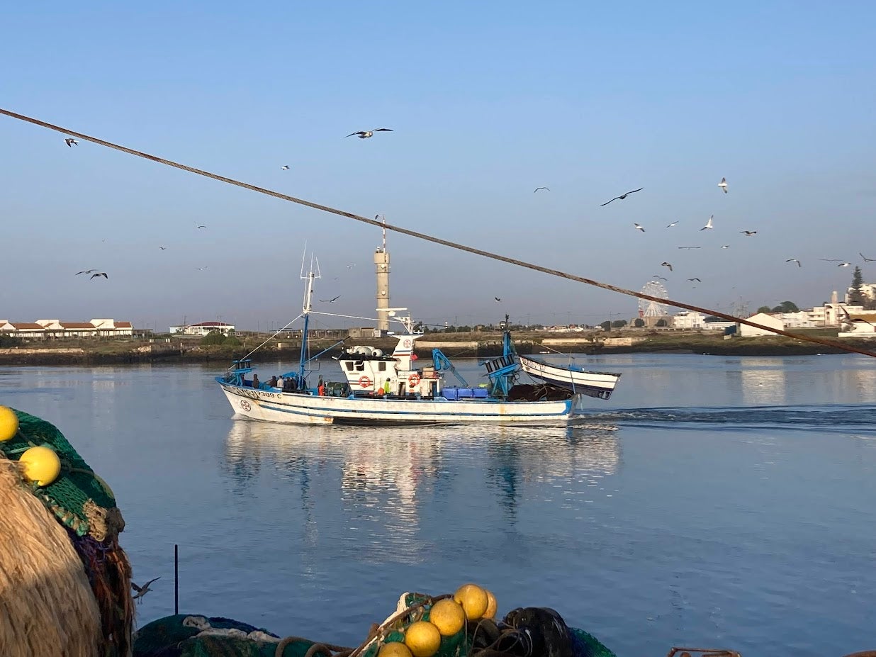 Rising fuel prices worsen difficulties in the fishing sector