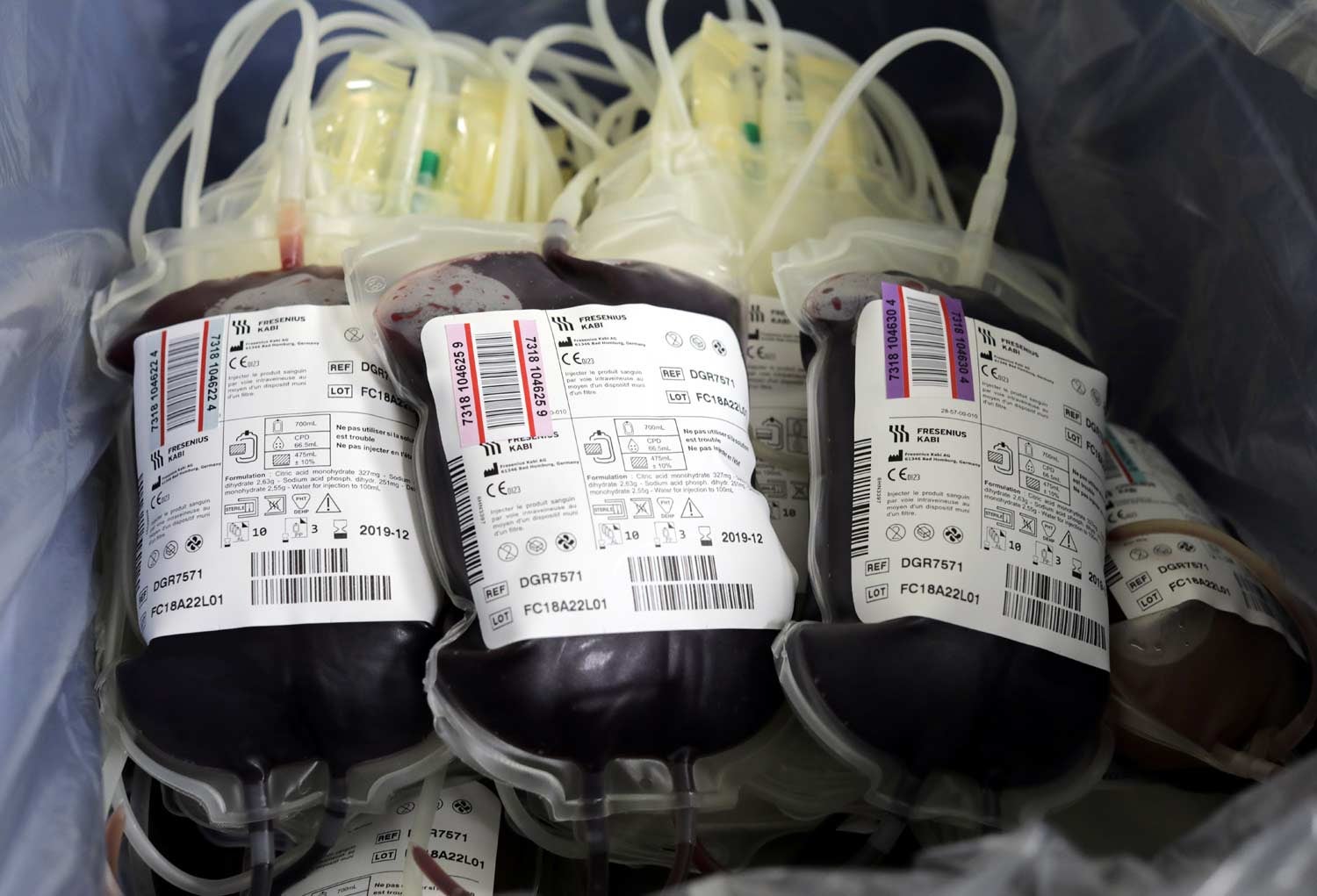 D�vidas ao Instituto do Sangue comprometem funcionamento